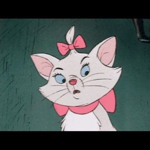 Meet your Posher, Connie s